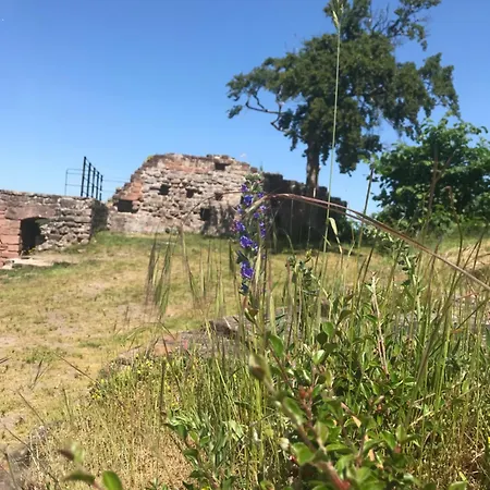 Blockhaus In Traumlage