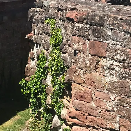 Blockhaus In Traumlage