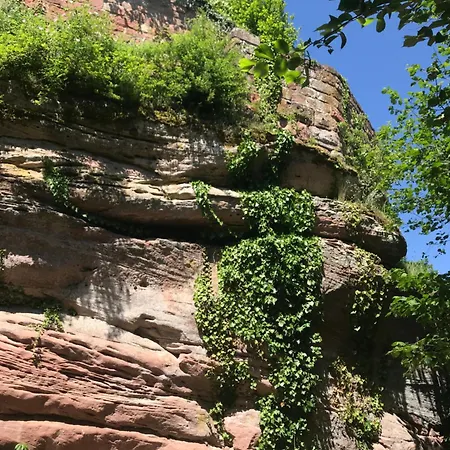 Tatil Evi Blockhaus In Traumlage