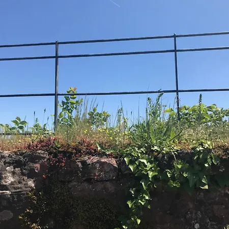 Tatil Evi Blockhaus In Traumlage Darstein