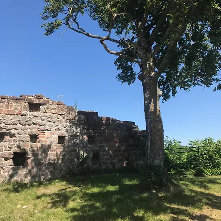 Blockhaus In Traumlage *